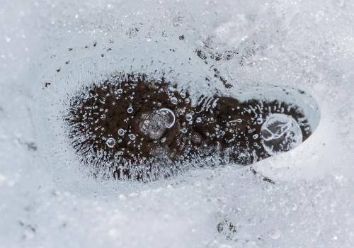 Glace