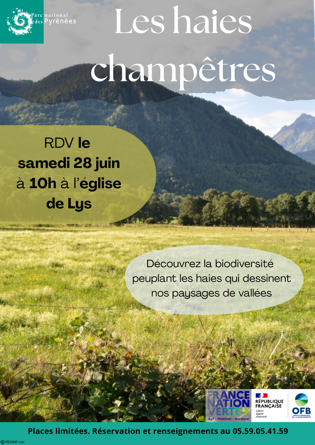 Les haies champêtres 