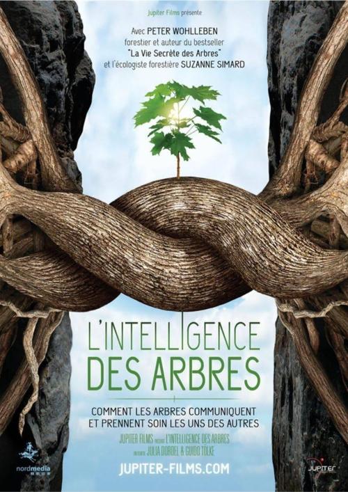 intelligence des arbres