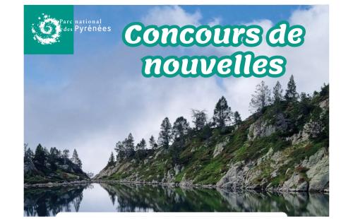 Concours de nouvelles