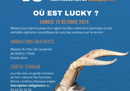 où est Lucky?