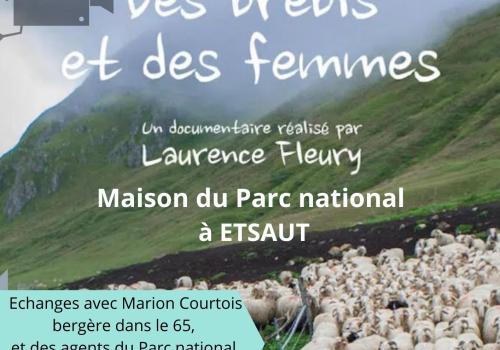 affiche des brebis et des femmes