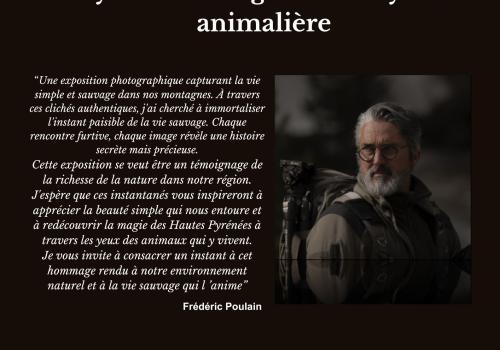 Expo Frédéric Poulain