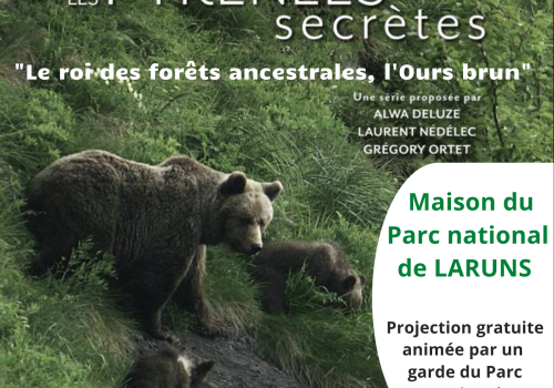 Affiche Pyrénées secrètes