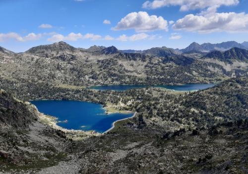 Aubert