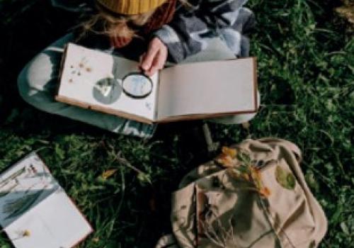 Dessiner la nature