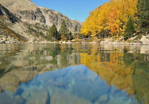 Néouvielle automne