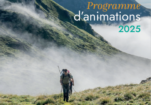 Programme animations été 2025