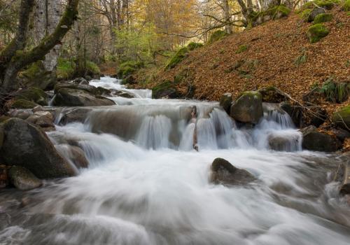 Cours d'eau
