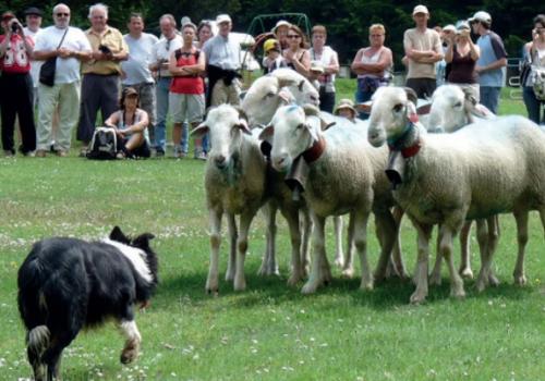 Fête écotourisme