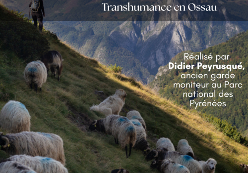 Amontanhada en Aussau