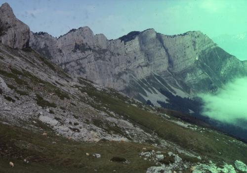 sortie glacier