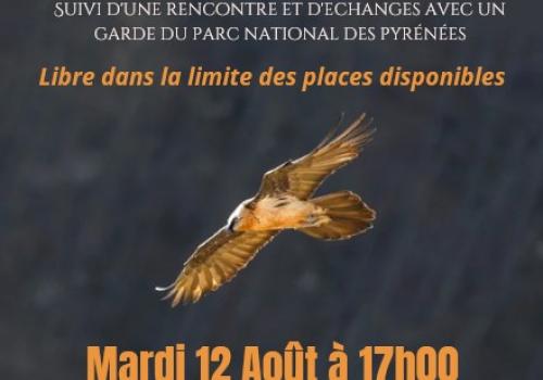 Conférence David