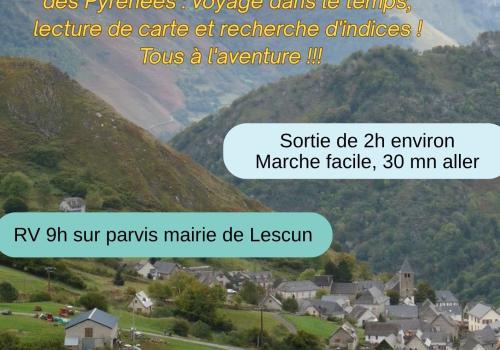 Sortie glaciers