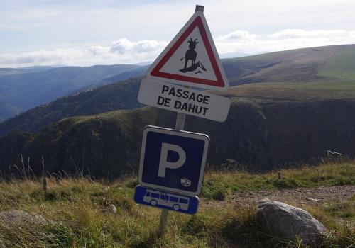 Passage de dahu