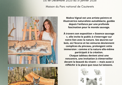 Maëva Vignal - exposition