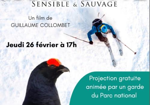 Conférence 26 02 26