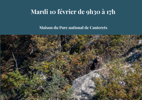 Rencontre avec Julien Argyriadès