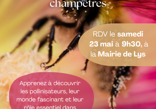 Sortie ABC