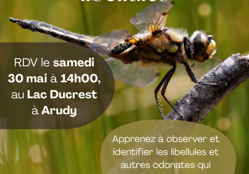 Sortie ABC