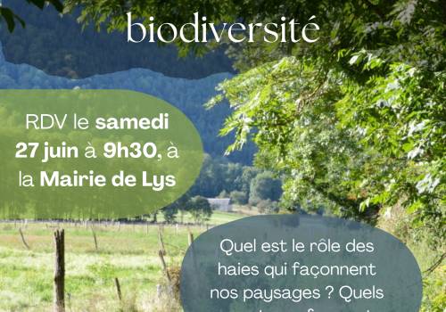 Sortie ABC