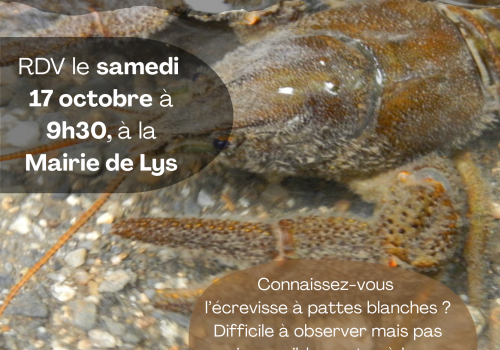 Sortie ABC