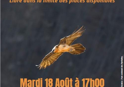 Conférence 18 08 26