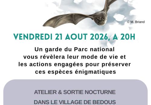 Nui ch souris