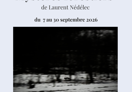 expo Laurent Nédélec