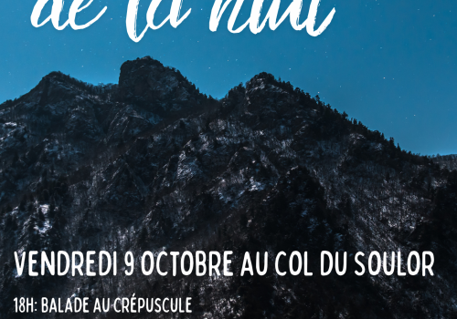 Le jour de la nuit