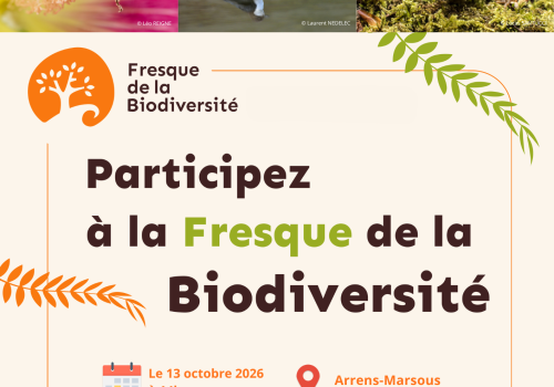 Fresque de la biodiversité