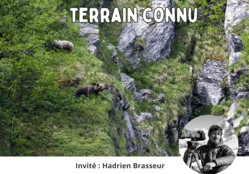 Rendez-vous en terrain connu