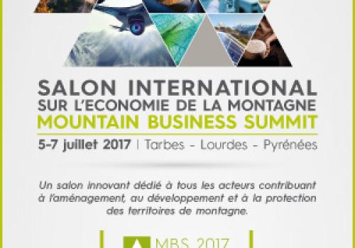 mountain-business-summit-2017-banner-300x600px-fr.jpg