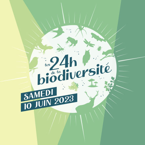 Preview 24h Biodiversité