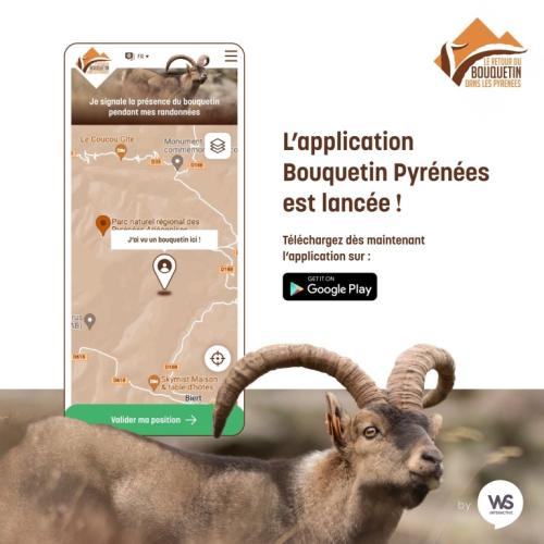 Application Bouquetin Pyrénées