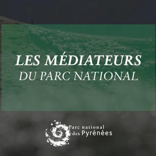 Instants Découverte - Les médiateurs