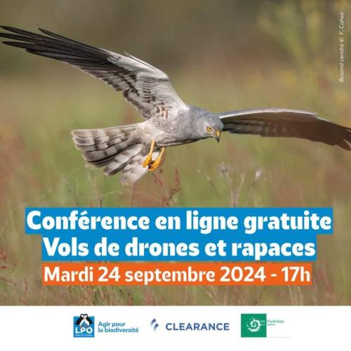 Webinaire: drones et rapaces