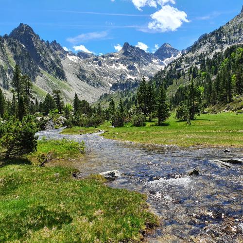 Journées scientiques du Parc national des Pyrénées