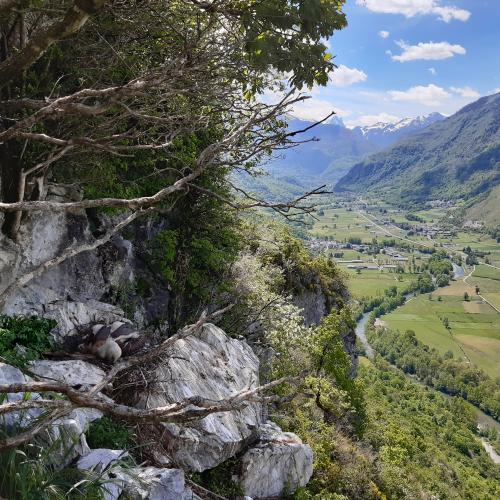 Réserve naturelle nationale d'Ossau