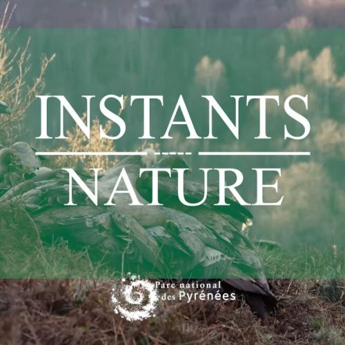 couv Instants Nature - à la vie, à la mort