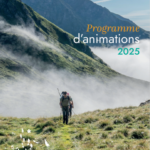 Programme animations 2025