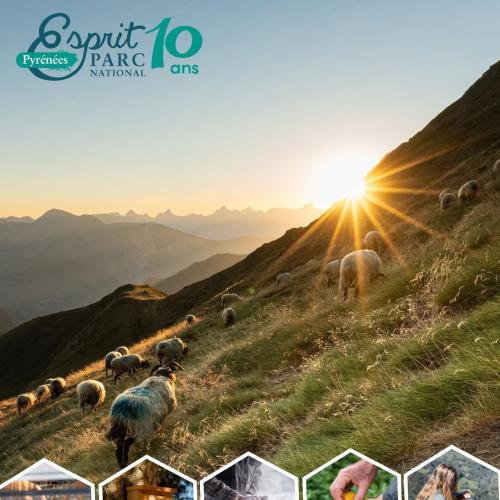 10 ans Marque Esprit Parc national