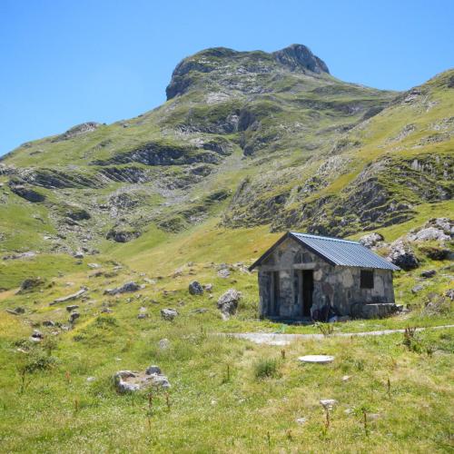 Traitement du lactosérum