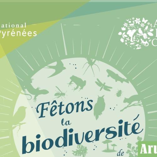 L'ABC en terres ossaloises