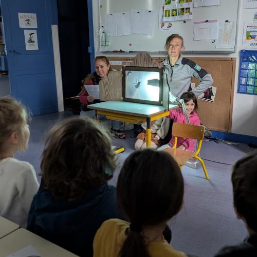 Murmures des étoiles