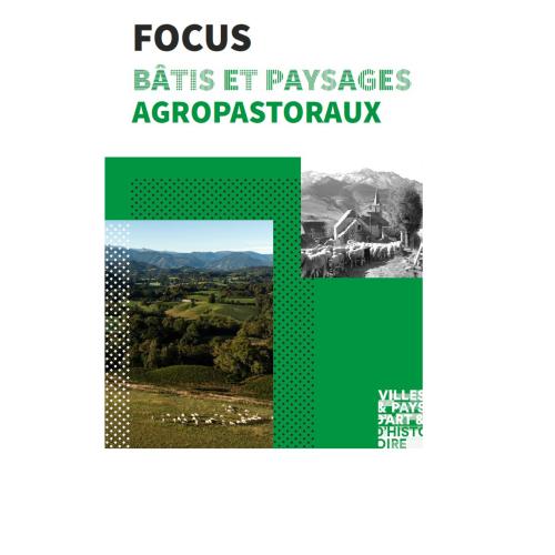 Nouvelle édition focus