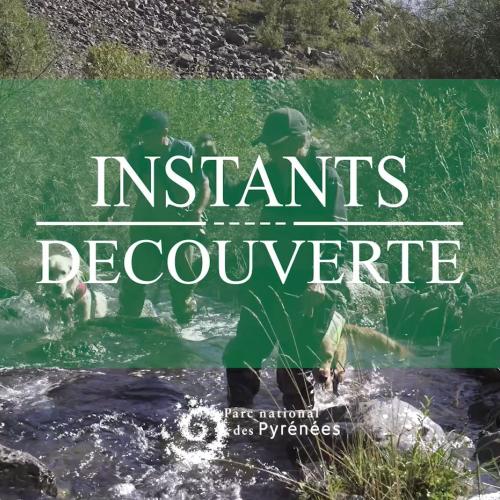 cou clip Instant découverte Desman