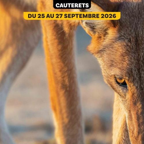 Rendez-vous du 25 au 27 septembre