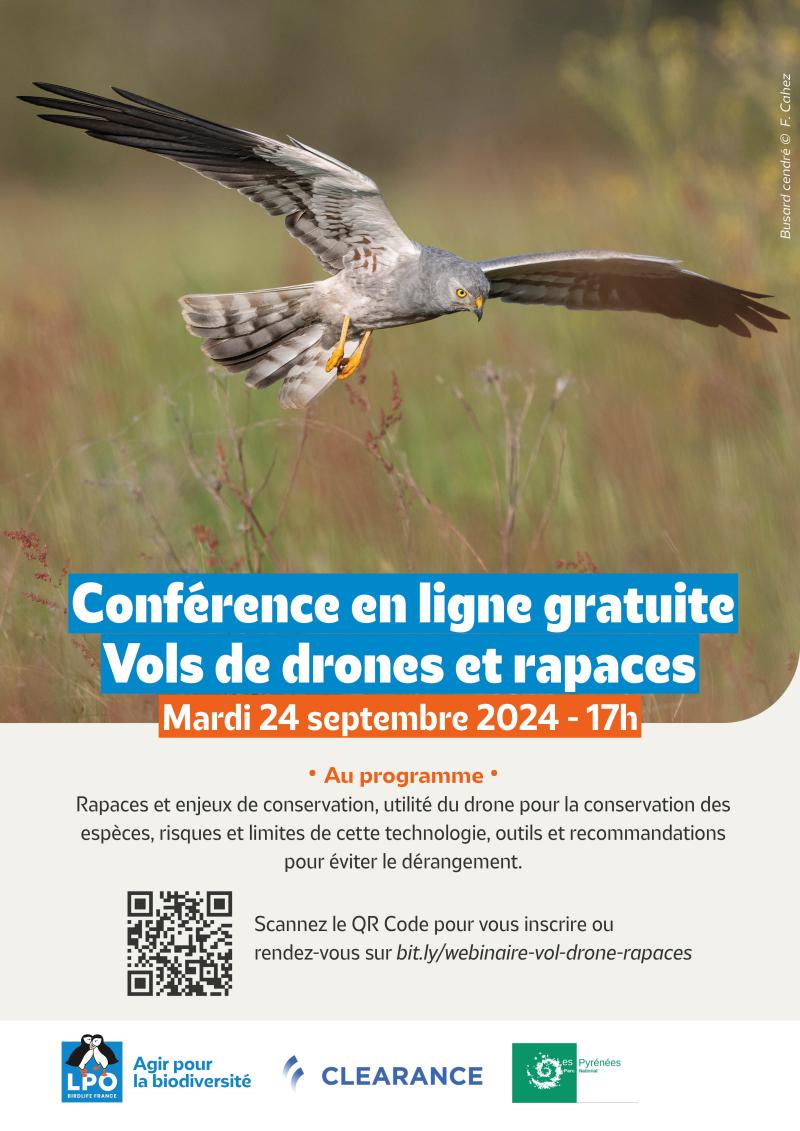 Webinaire Drones et rapaces