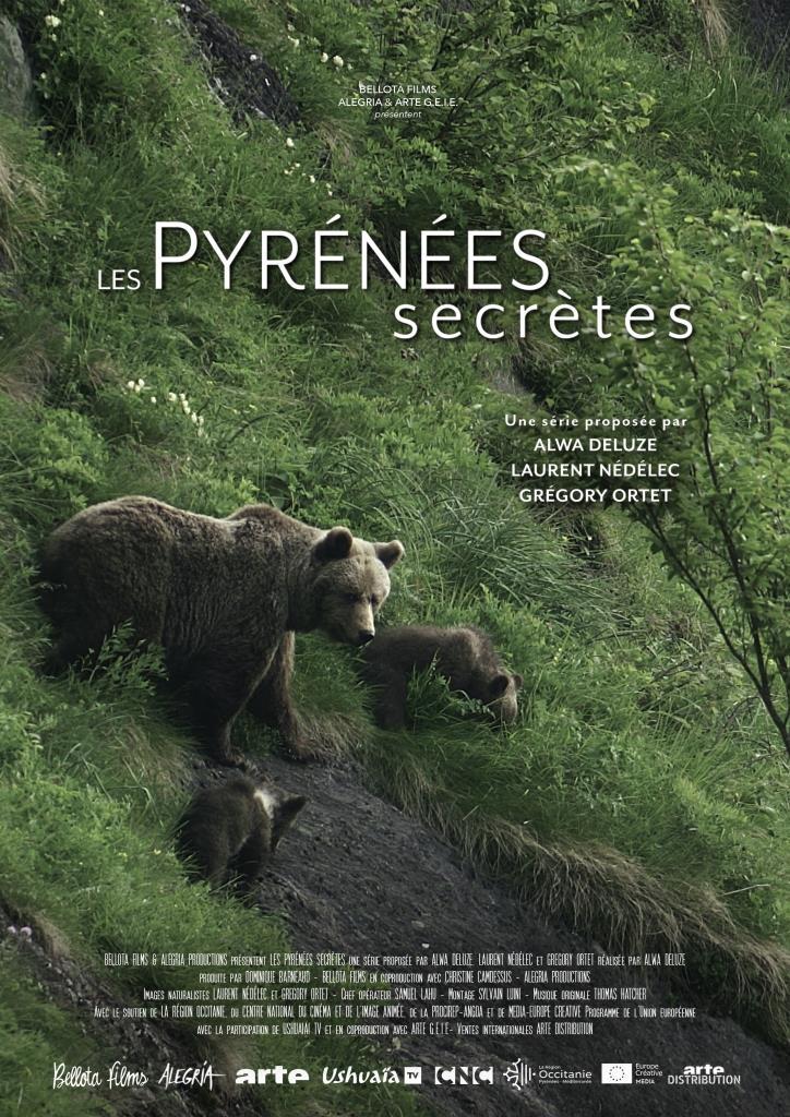 Py secrètes : ours